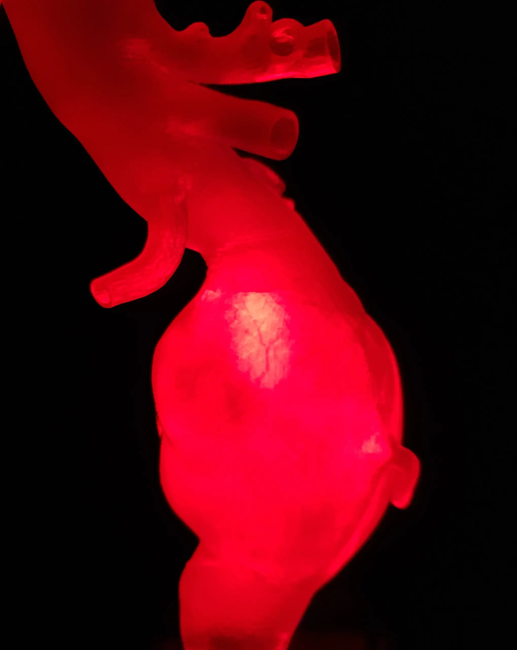 A glowing red anatomical model of a human heart against a black background.
